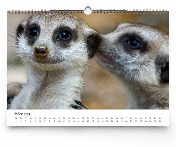 Kalender individuell bedruckt: Gestalten Sie Ihren Fotokalender nach Maß.