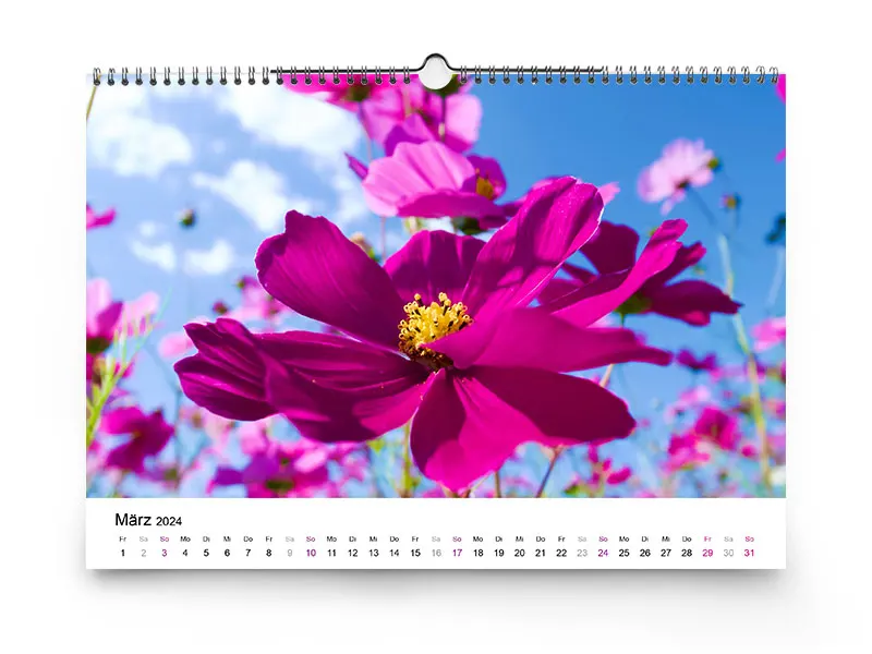 Der Monatskalender ist mit vielen Optionen personalisierbar: Farben, Kalendarium, Startmonat und vieles mehr.