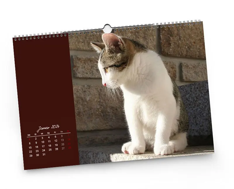 Für Ihren Fotokalender stehen Ihnen verschiedenste Kalendarien zur Verfügung.