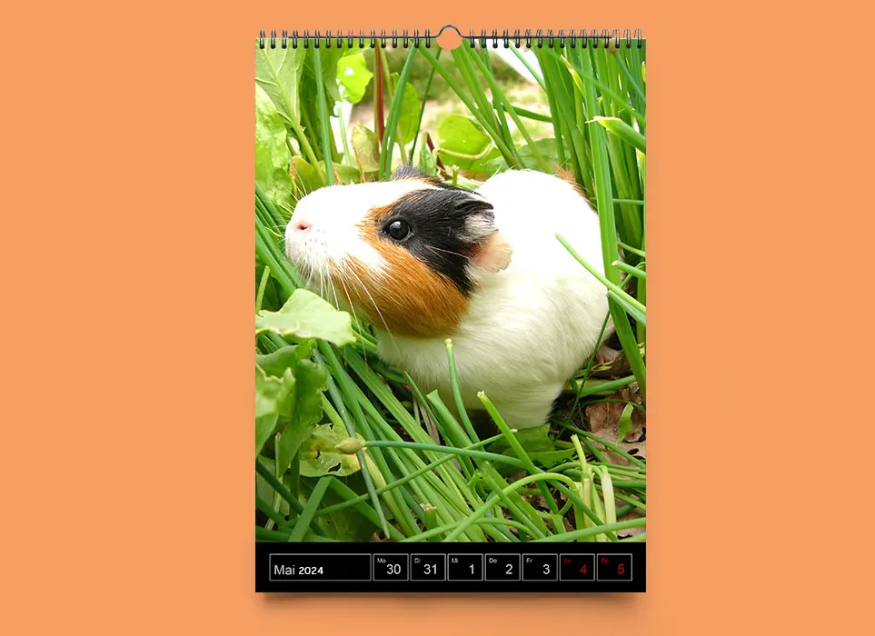 Gestalten Sie Ihren eigenen Wochenkalender mit 55 Seiten! Foto-Wochenkalender drucken lassen