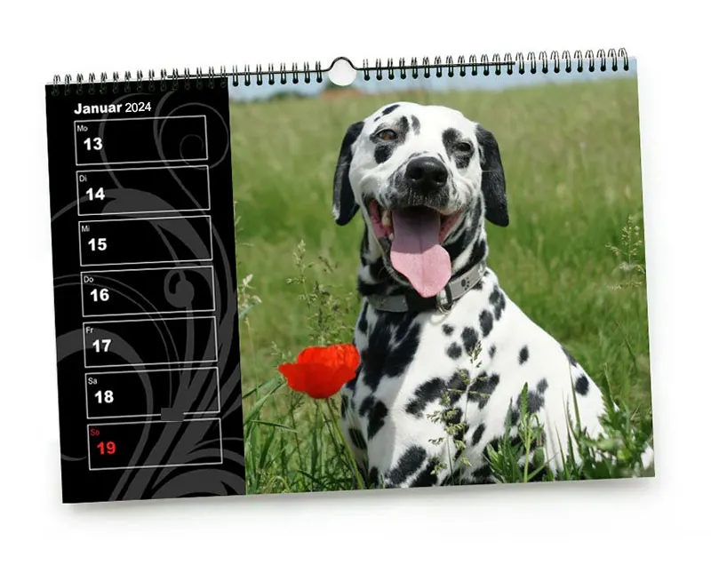 Wochenkalender mit Terminfunktion
