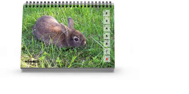 Fotokalender Und Mehr Bedrucken Lassen Meinbildkalender De