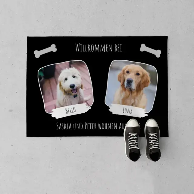 Willkommen zwei Hunde