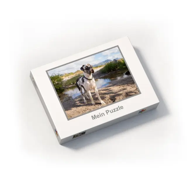 Puzzle 1000 Teile Querformat Design Classic