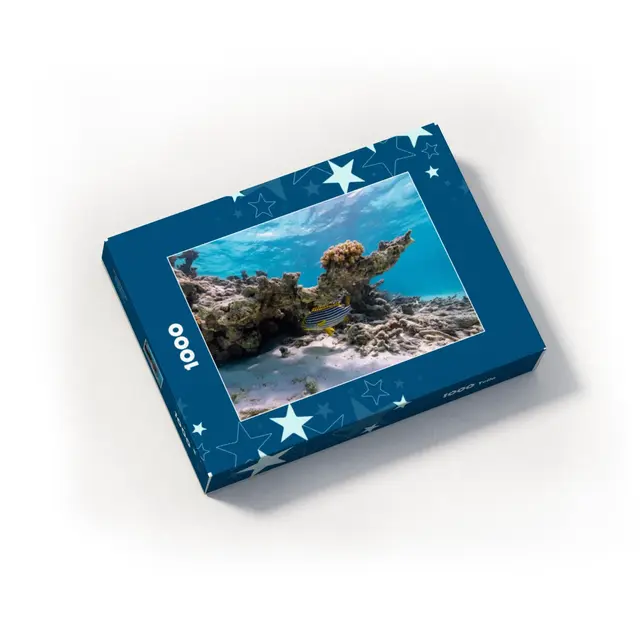 Puzzle 1000 Teile Querformat Design Sterne