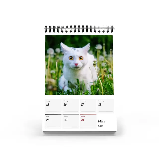 Tischwochenkalender Design Tageskacheln mit Terminen, A5 (Ansicht 4)