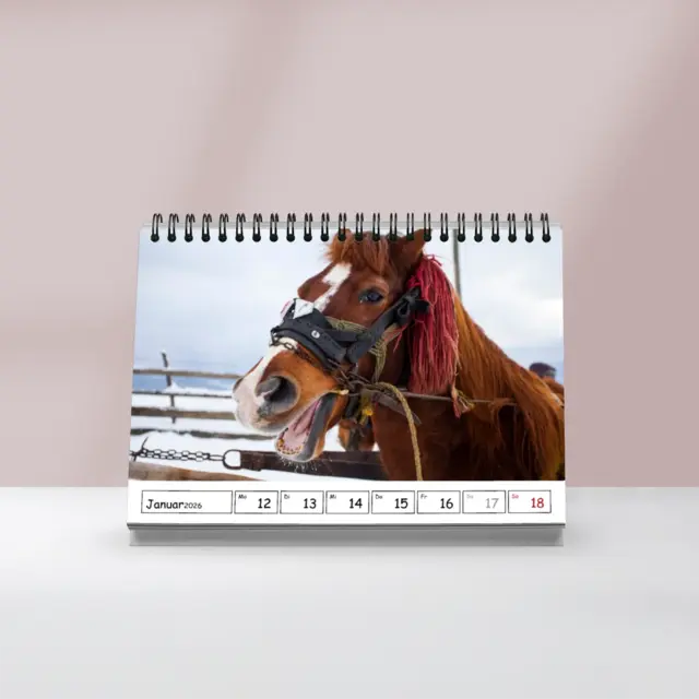 Tisch-Wochenkalender Quer 29,7 x 10,5 cm Design Classic unten CS