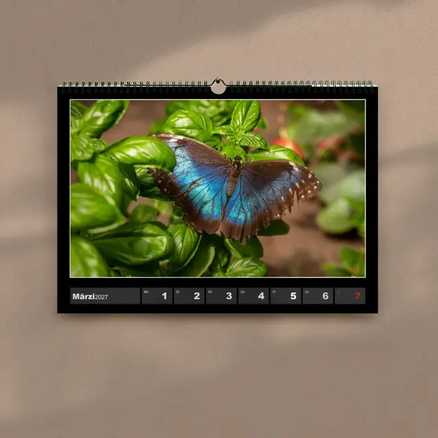 Wochenkalender A4 Querformat Design Classic unten 4 Frame