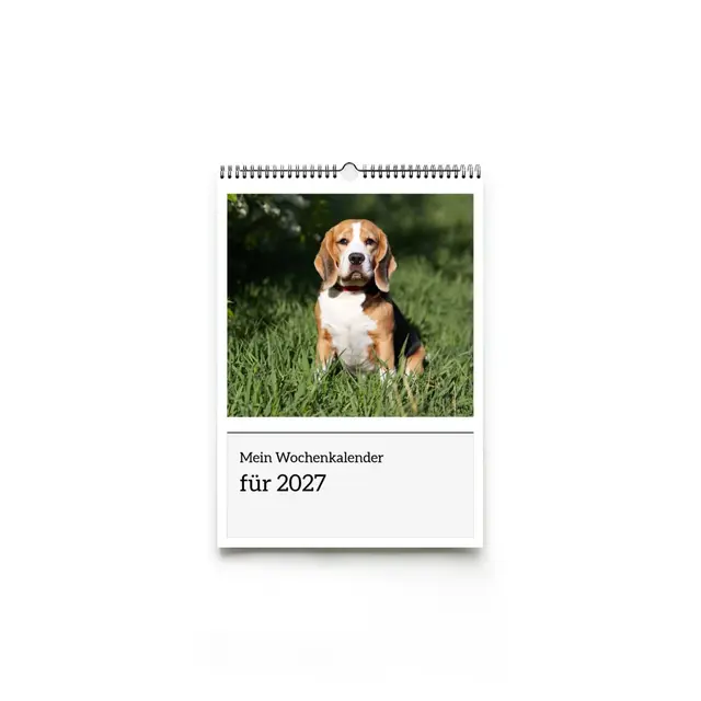 Wochenkalender Design Tageskacheln mit Terminen, A5 (Ansicht 4)