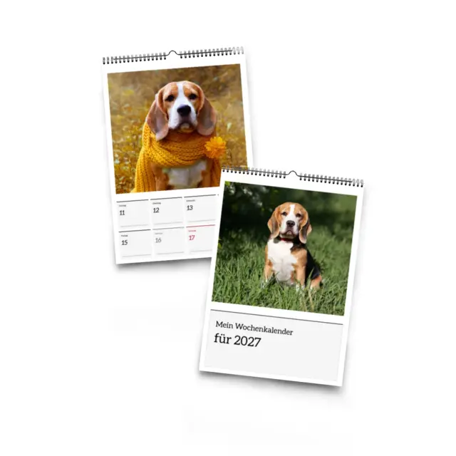 Wochenkalender Design Tageskacheln mit Terminen, A5 (Ansicht 3)