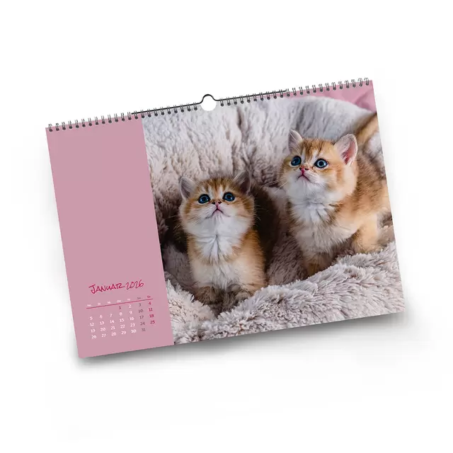 Für Ihren Fotokalender stehen Ihnen verschiedenste Kalendarien zur Verfügung.