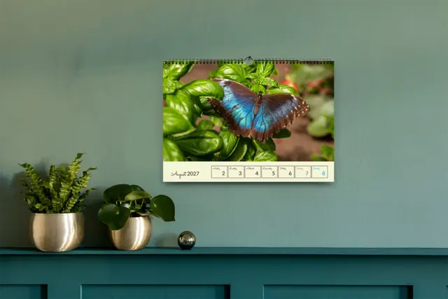 Jede Woche ein neues Highlight an der Wand Wochenkalender für die Wand mit 55 Einzelseiten