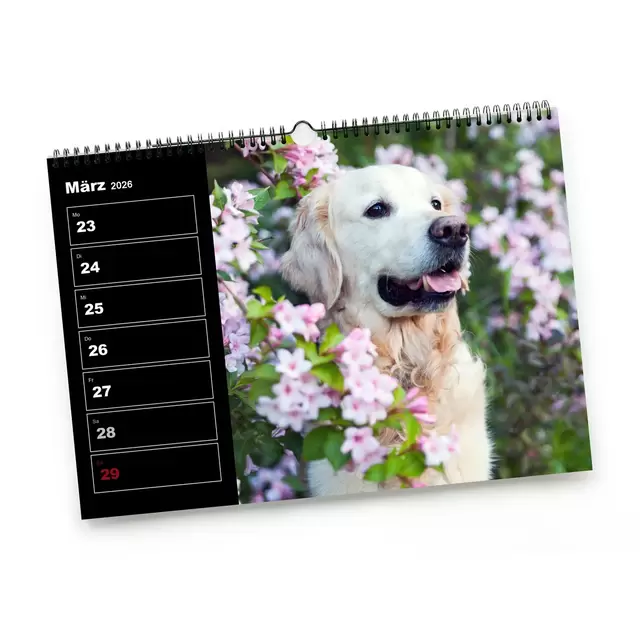 Wochenkalender mit Terminfunktion