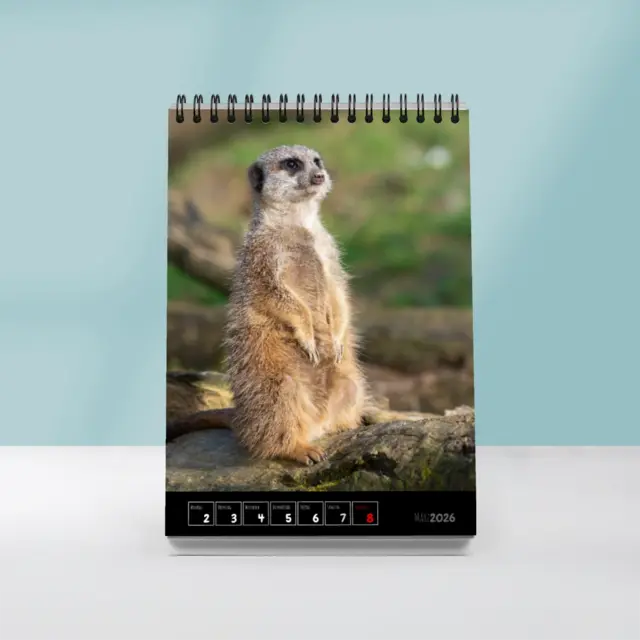Wochenkalender als Tischkalender A5 Hochformat im Design Classic unten ACKW