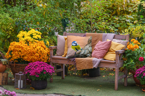 Blaumeise als Fotokissen