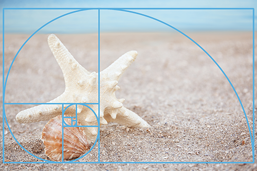  Das perfekte Leinwandfoto: Mit dem Goldenen Schnitt zum Highlight an der Wand