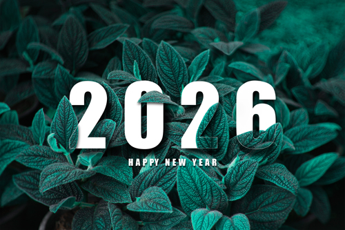 Inspiriert von der Trendfarbe des Jahres 2026 Transformative Teal
