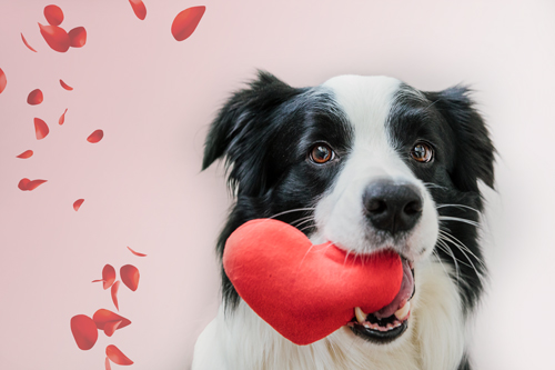 Valentinsgeschenke mit Herz: personalisiert & kreativ