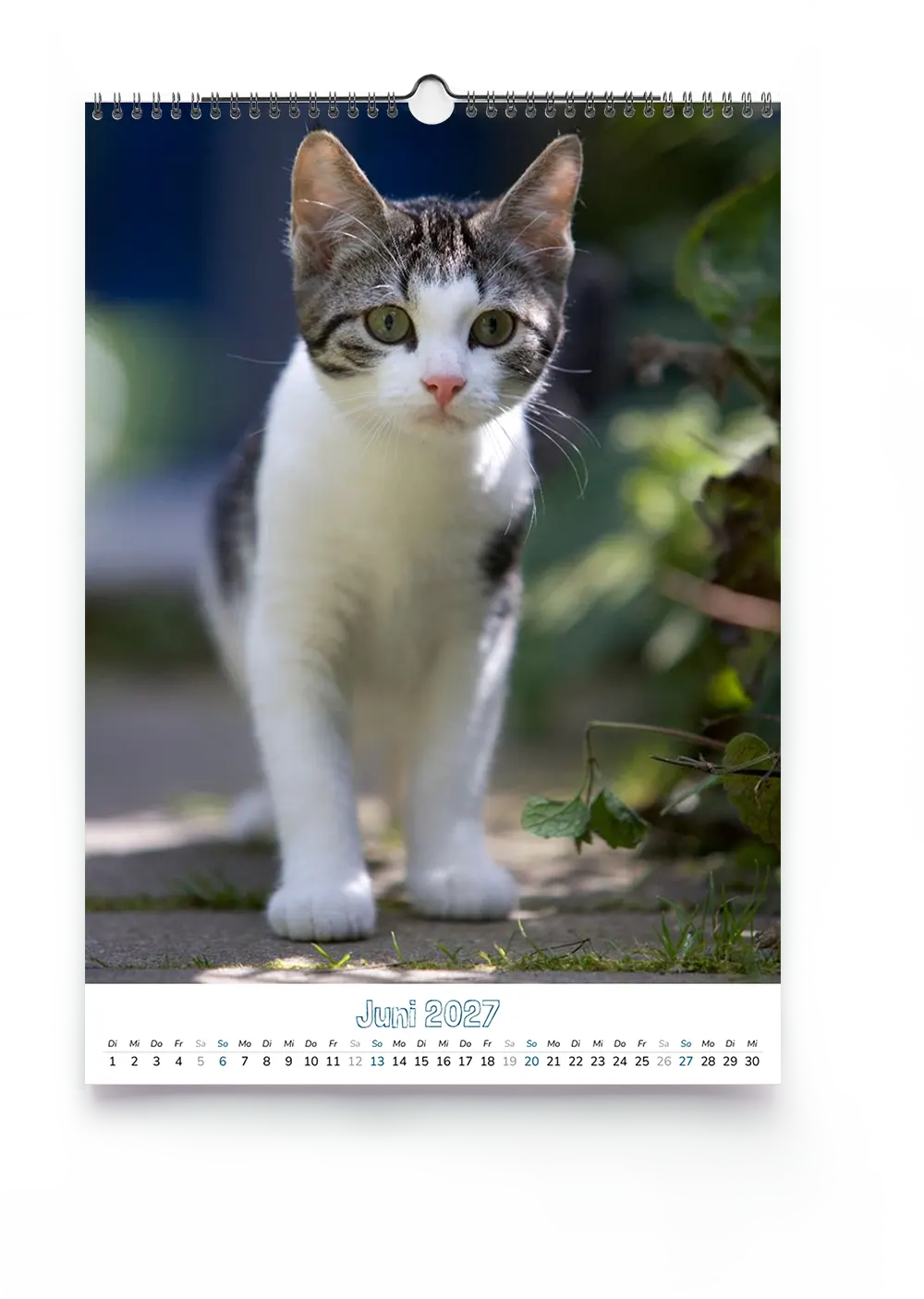 Der Wandkalender im DIN A3 Hochformat ist der Allrounder unter den Fotokalendern