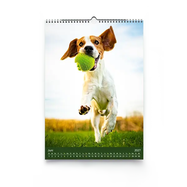 Fotokalender DIN A4 Hochformat mit Hund in Bewegung