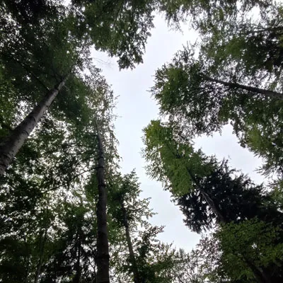 Naturaufnahmen