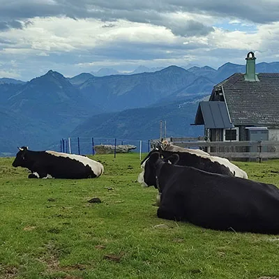 Landschaftsaufnahmen