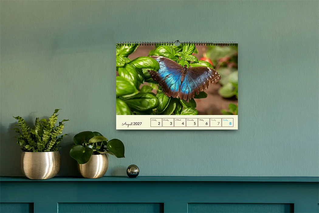Wochenkalender für die Wand mit 55 Einzelseiten