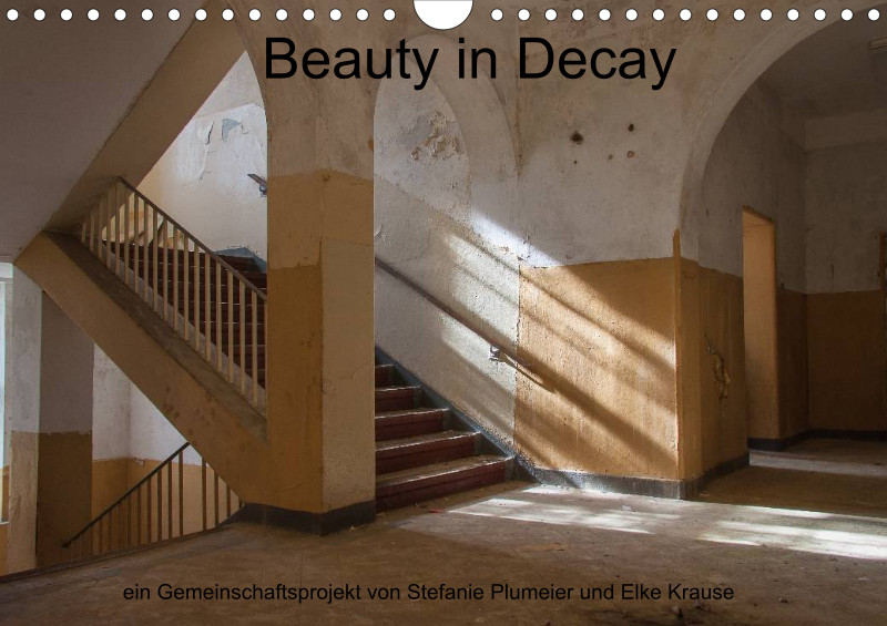 Beauty in Decay - A 4 - 2025