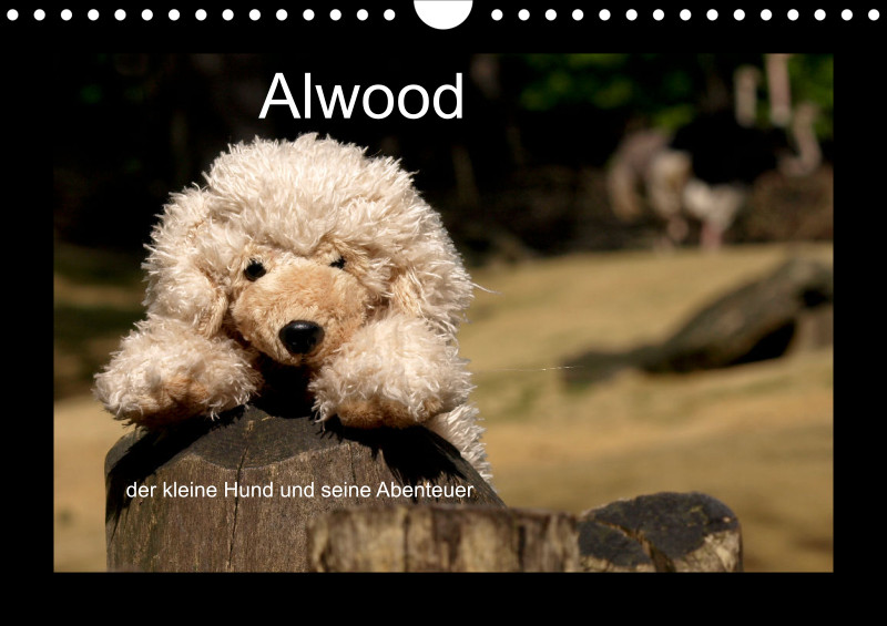 Alwood und seine Abenteuer - A 4 - 2025