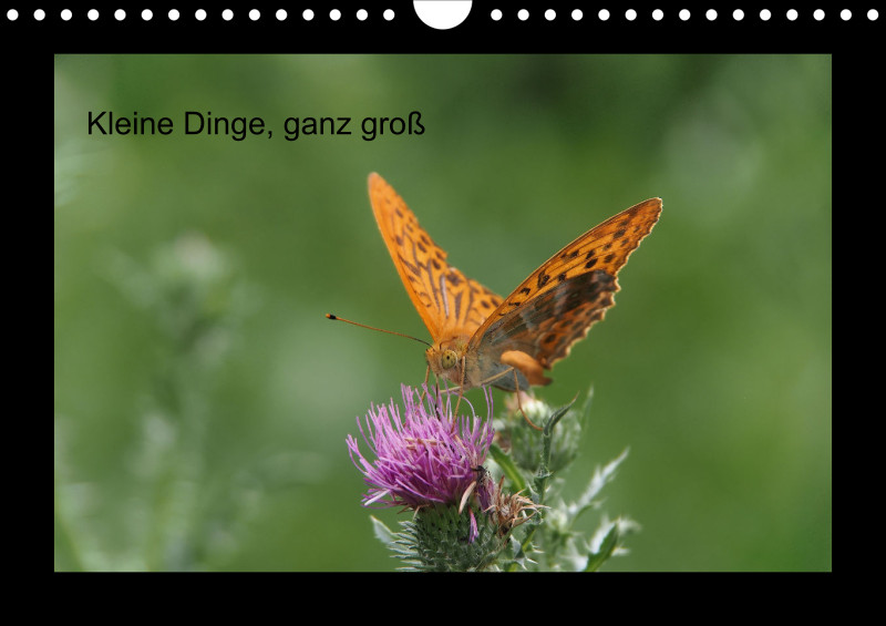 Kleine Dinge - groß - A 4 - 2025