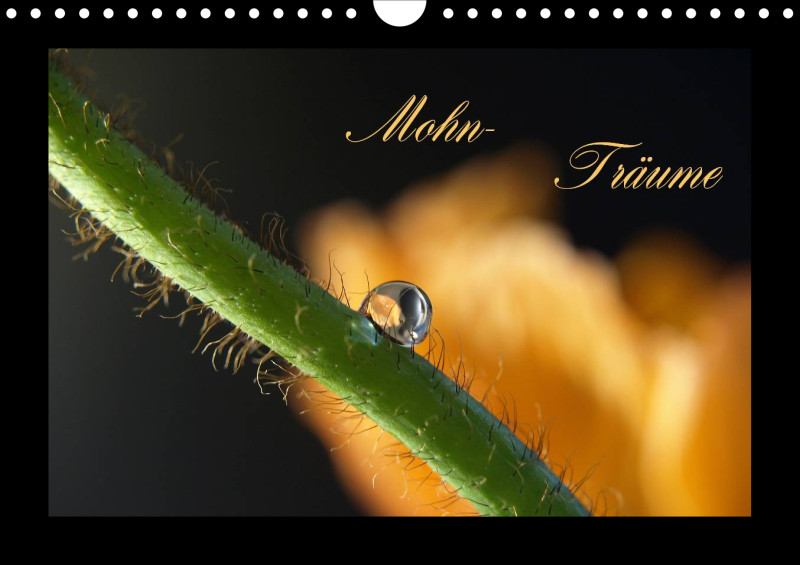 Mohn-(Träume) A 4 - 2025