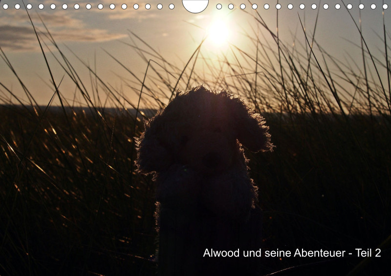 Alwood und seine Abenteuer - Teil 2 - A4 - 2025