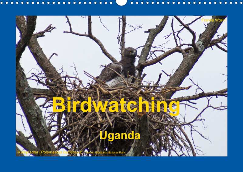 Birdwatching - Uganda