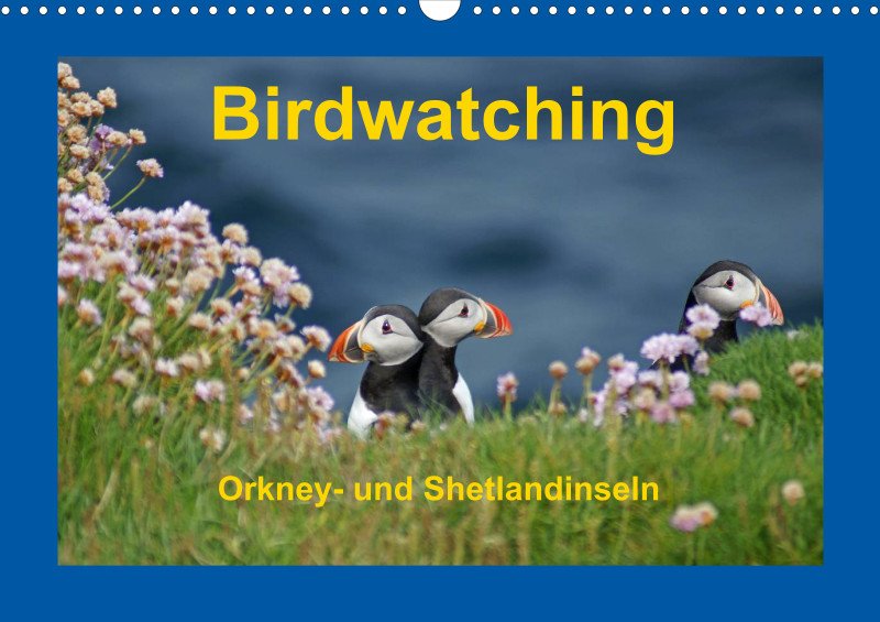 Birdwatching - Orkney- und Shetlandinseln