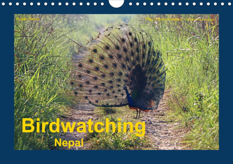 Birdwatching - Nepal