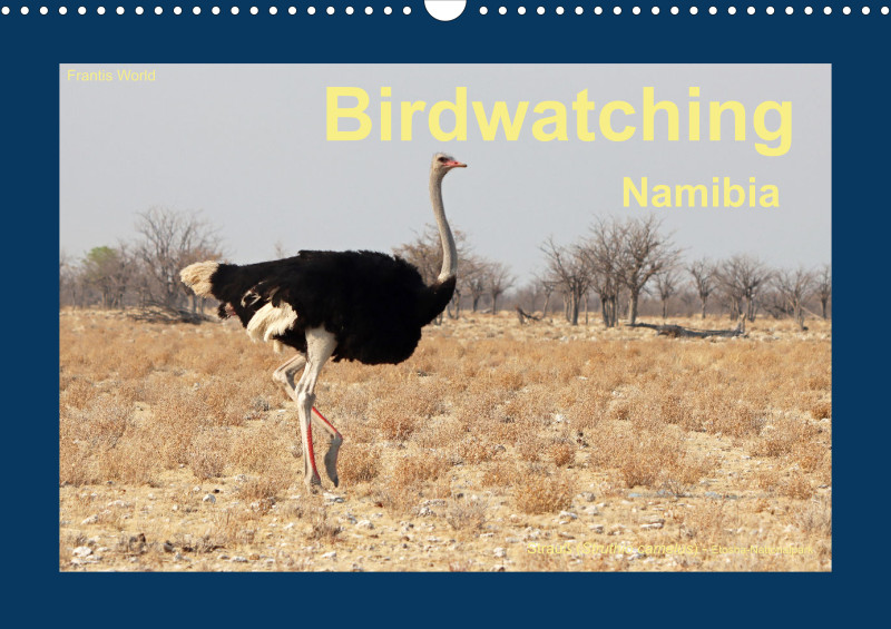 Birdwatching - Namibia