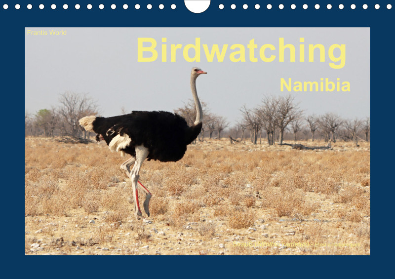 Birdwatching - Namibia - klein