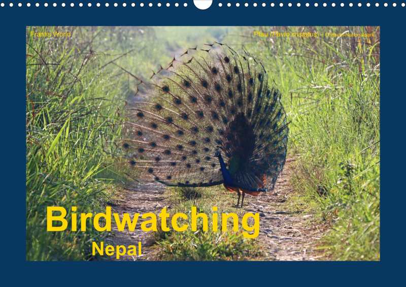 Birdwatching - Nepal