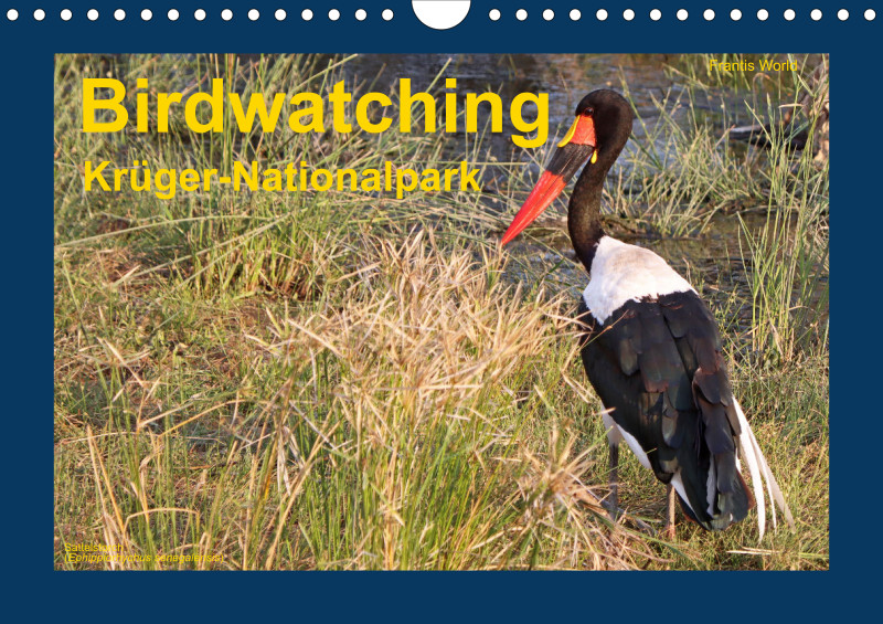 Birdwatching - Krüger-Nationalpark - klein