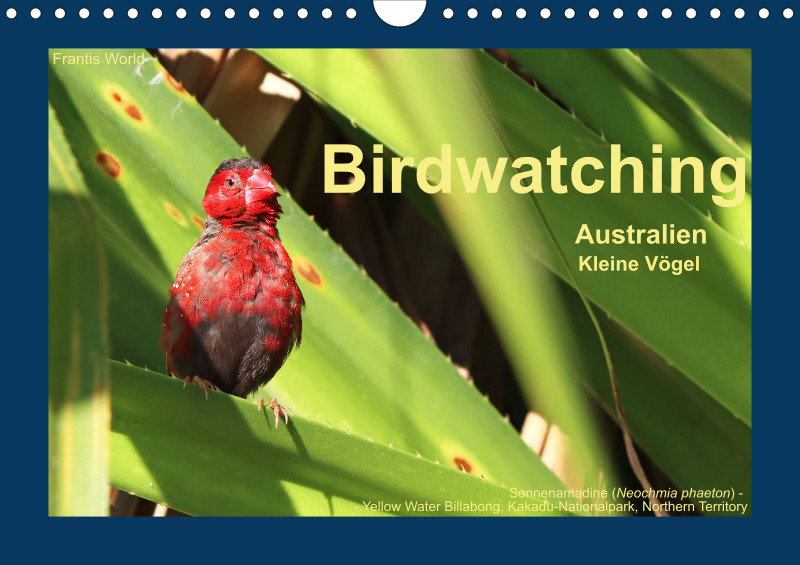 Birdwatching - Australien - Kleine Vögel - klein