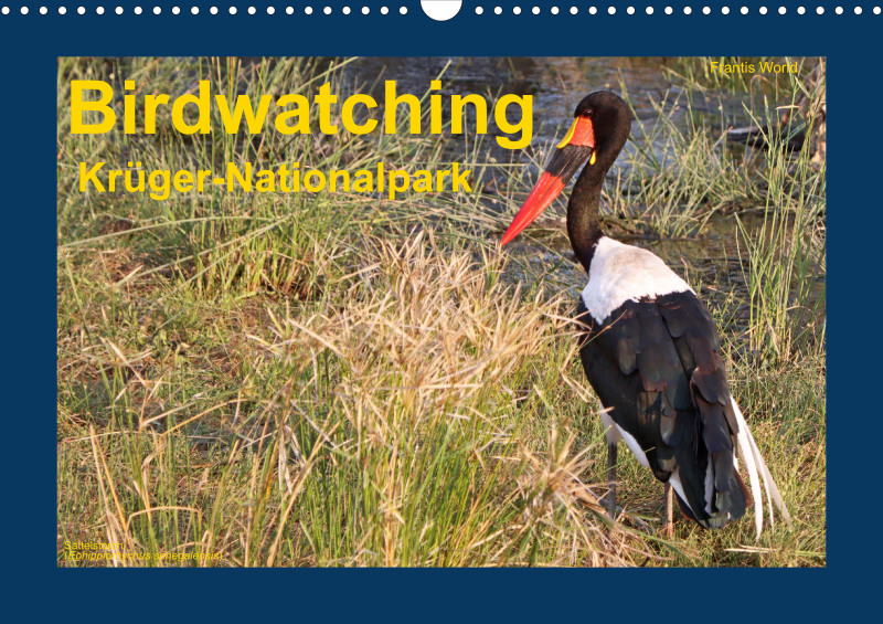 Birdwatching - Krüger-Nationalpark
