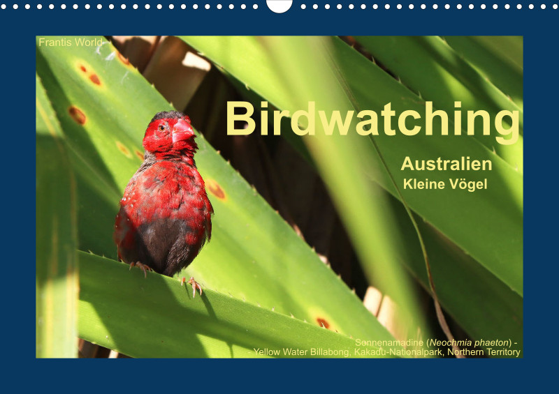 Birdwatching - Australien - Kleine Vögel