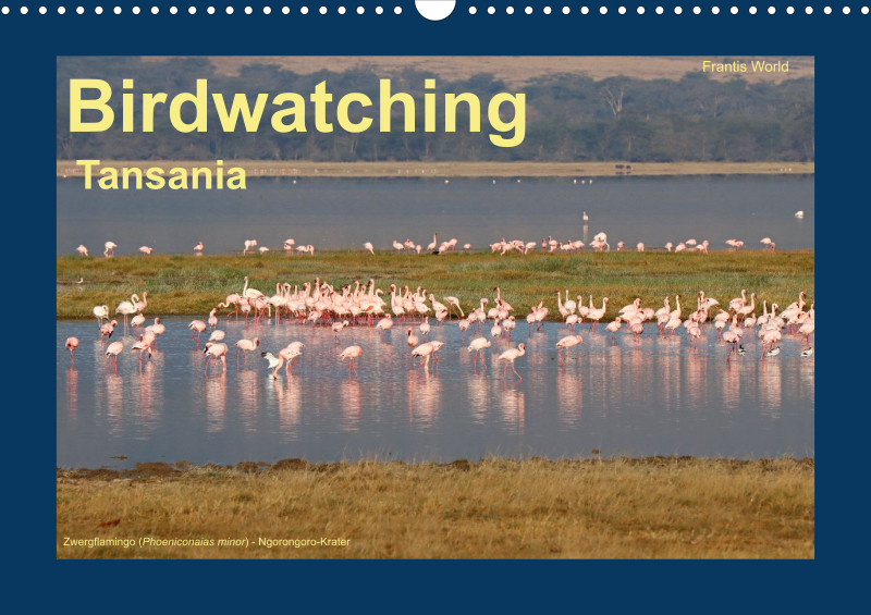 Birdwatching - Tansania