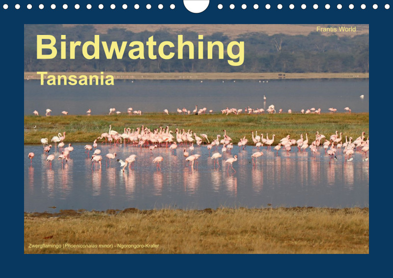 Birdwatching - Tansania - klein
