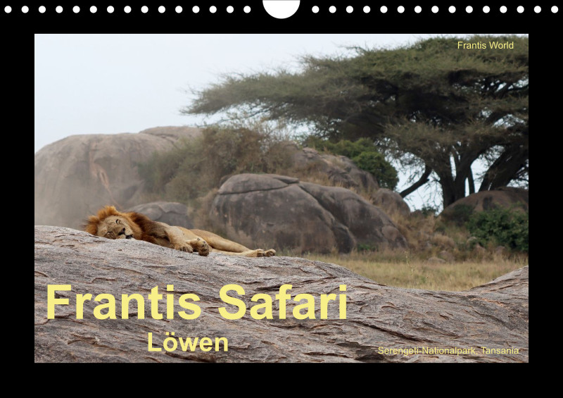 Frantis Safari - Löwen - klein
