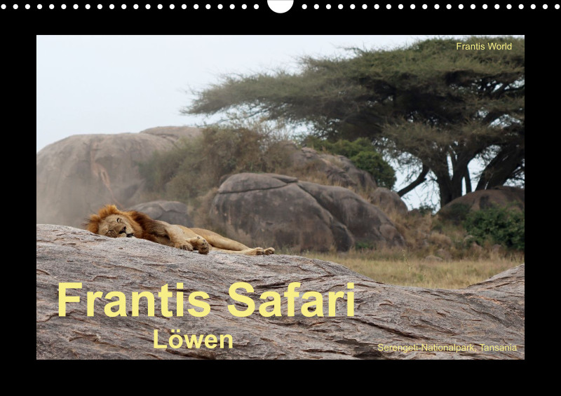 Frantis Safari - Löwen