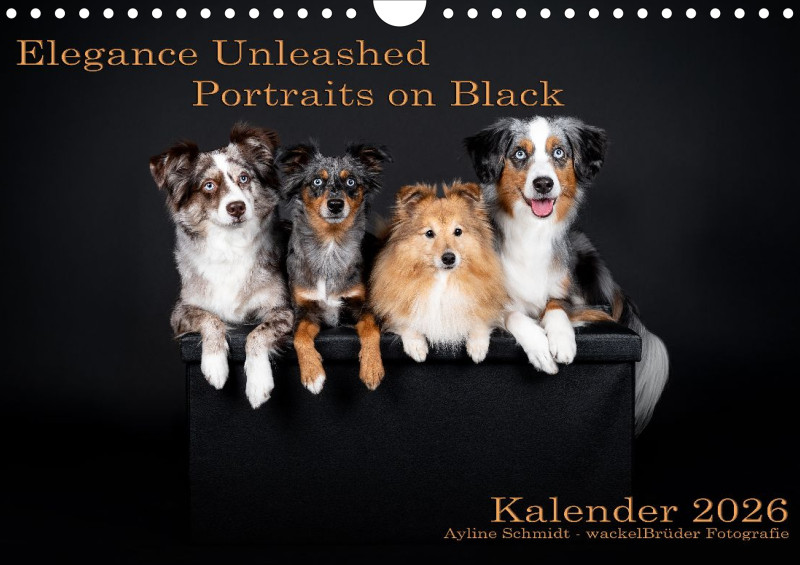 Elegance Unleashed Portraits on Black Kalender 2026 A4