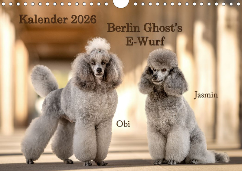 Berlin Ghost's Kalender 2026 A4
