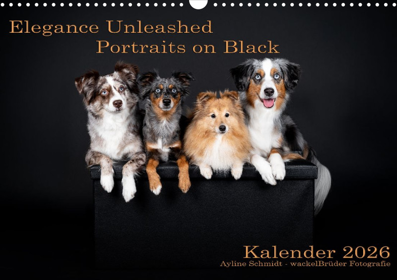 Elegance Unleashed Portraits on Black Kalender 2026 A3