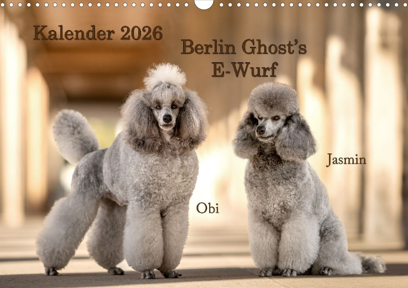 Berlin Ghost's Kalender 2026 A3